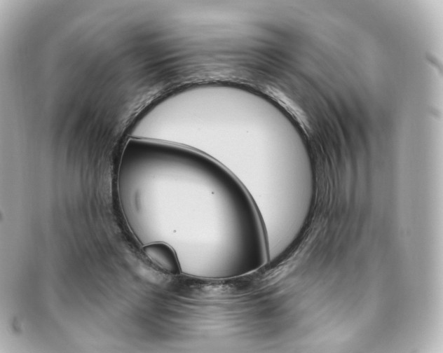 X0000096410493200801241028