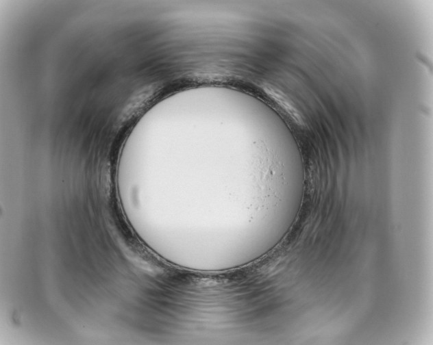 X0000096410494200801241028