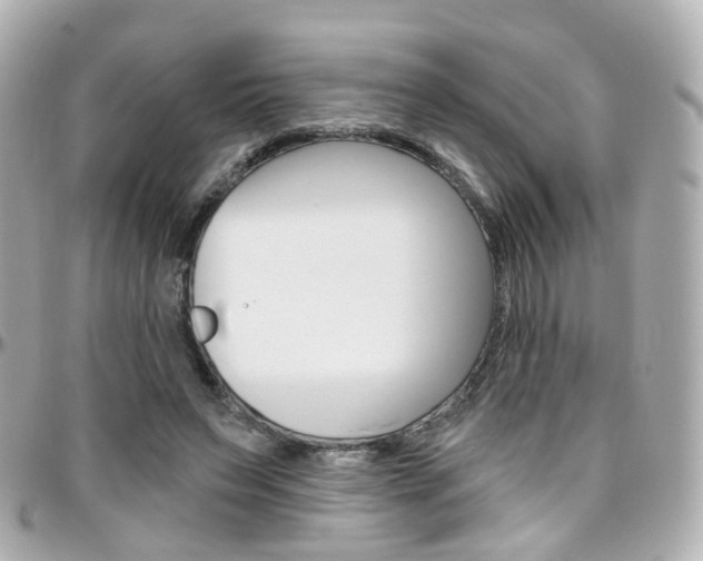 X0000096410495200801241028