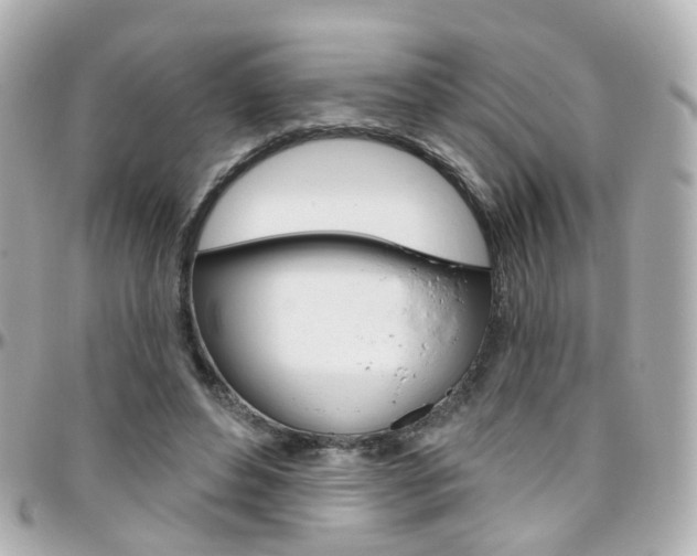 X0000096410496200801241028