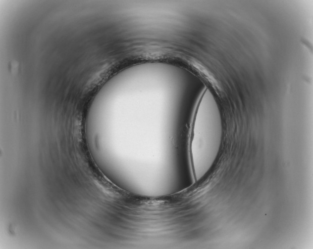 X0000096410497200801241028