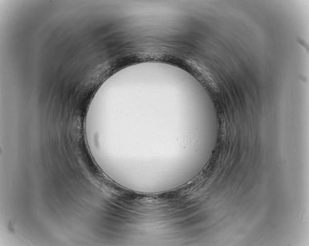 X0000096410498200801241028