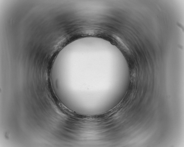 X0000096410500200801241028