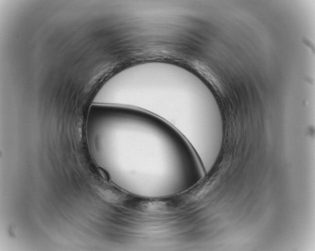 X0000096410501200801241028