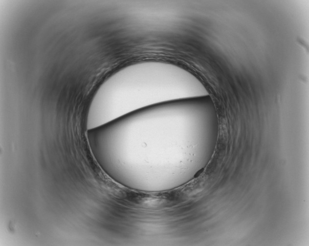 X0000096410504200801241028