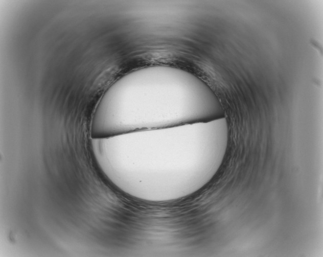 X0000096410506200801241028