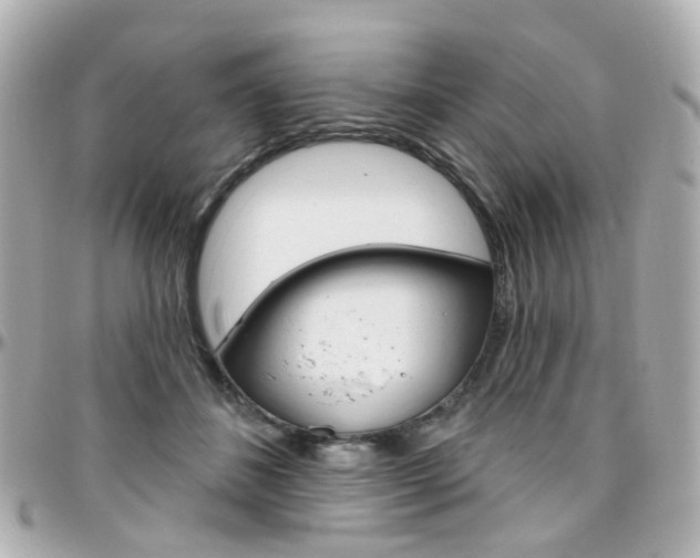 X0000096410508200801241028