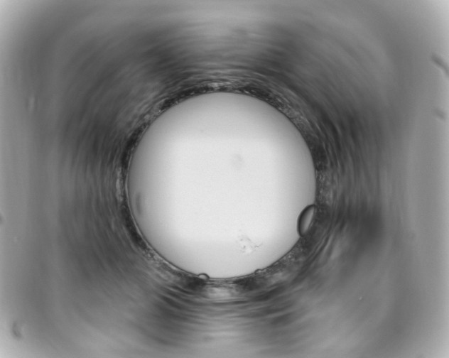 X0000096410510200801241028