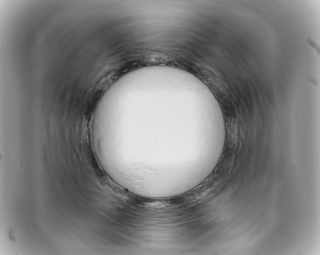X0000096410511200801241028
