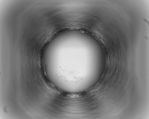 X0000096410512200801241028