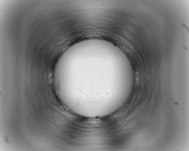 X0000096410514200801241028