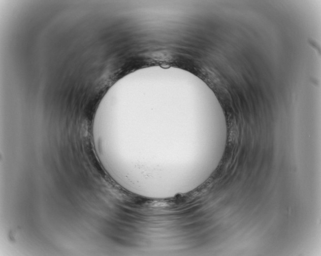 X0000096410518200801241028
