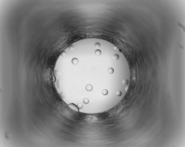 X0000096410519200801241028