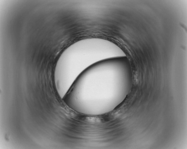 X0000096410520200801241028