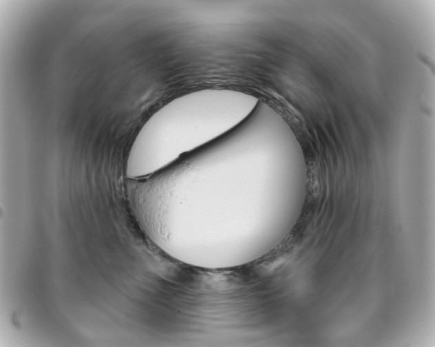 X0000096410523200801241028