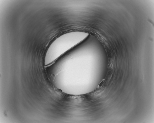 X0000096410524200801241028