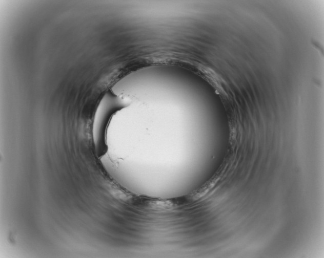 X0000096410525200801241028