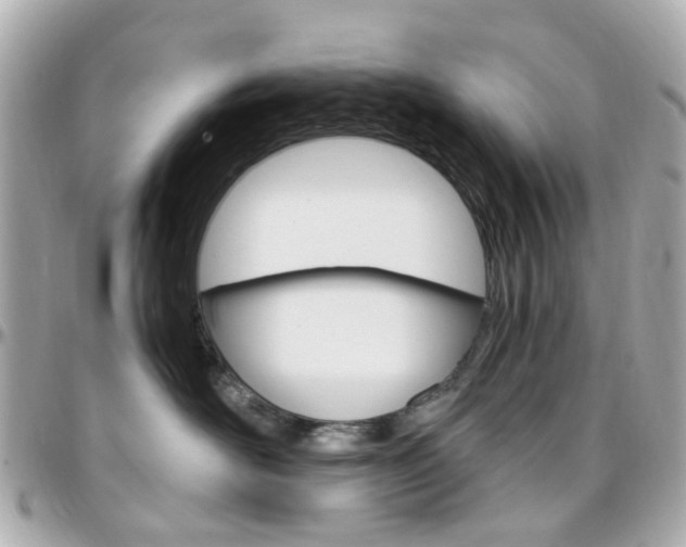 X0000096410526200801241028