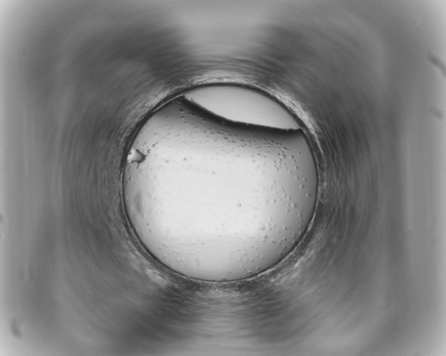 X0000096410529200801241027