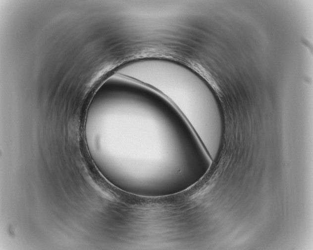 X0000096410530200801241027