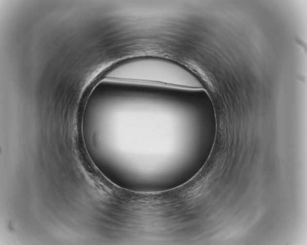 X0000096410532200801241027