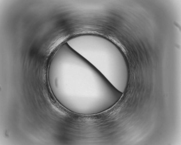 X0000096410533200801241027