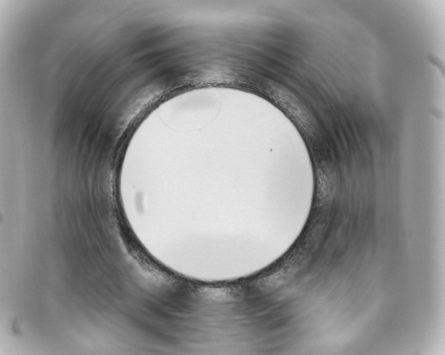 X0000096410534200801241027