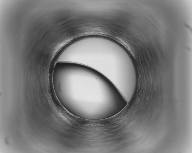X0000096410535200801241027