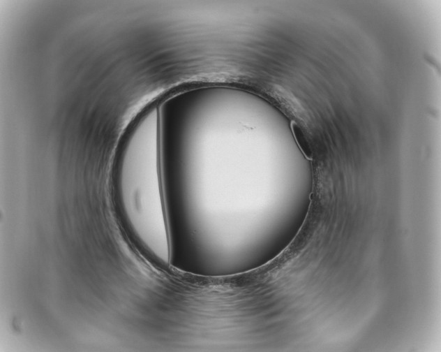 X0000096410536200801241027