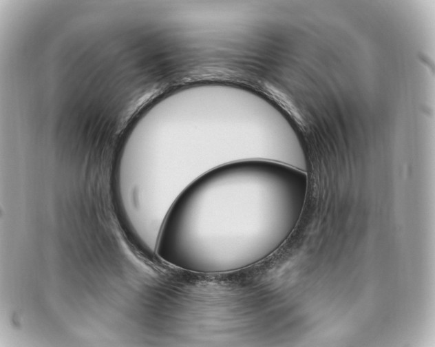 X0000096410538200801241027