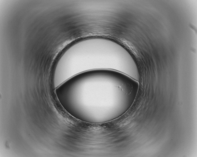 X0000096410540200801241027