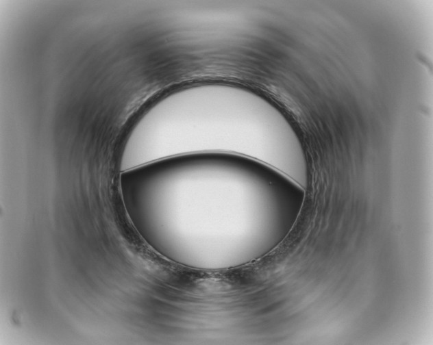 X0000096410544200801241028