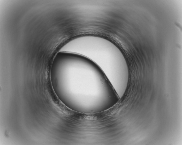 X0000096410546200801241028