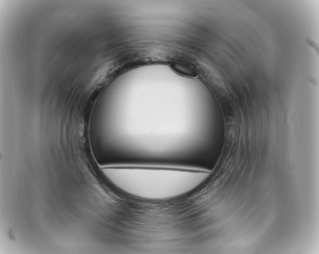 X0000096410548200801241028