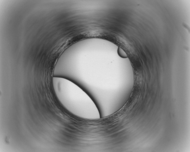X0000096410549200801241028