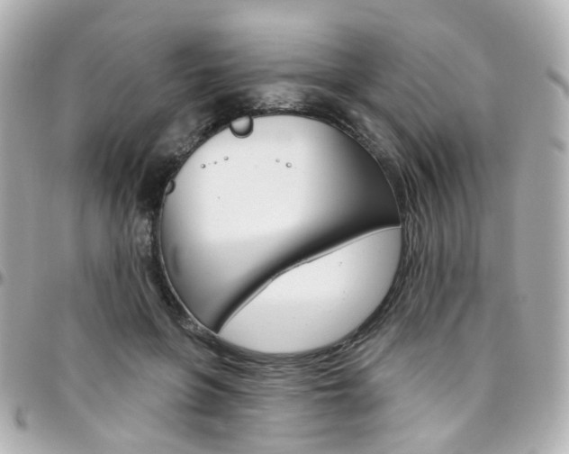X0000096410551200801241028