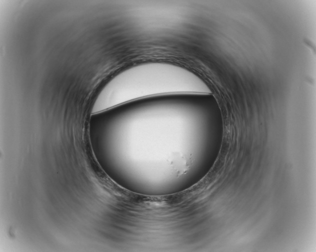 X0000096410552200801241028