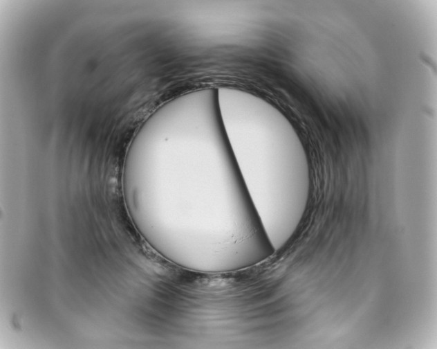 X0000096410553200801241028