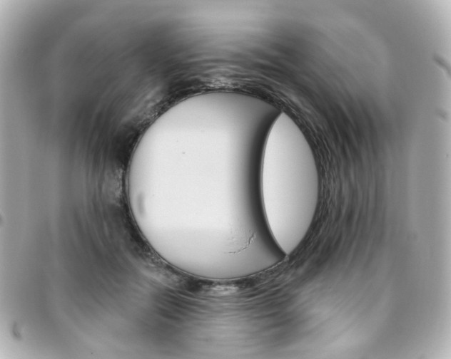 X0000096410554200801241028