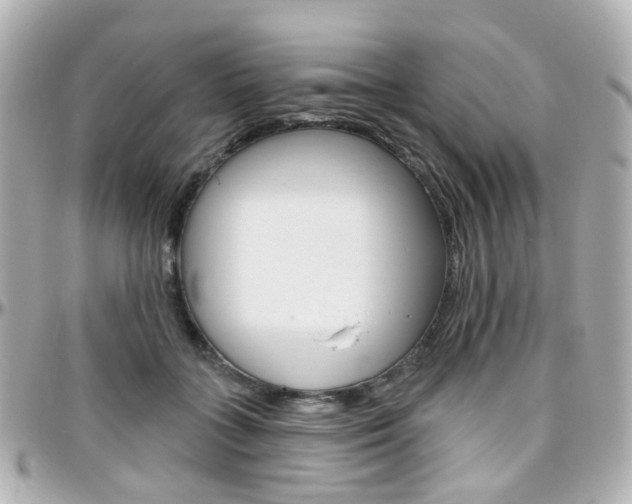 X0000096410555200801241028