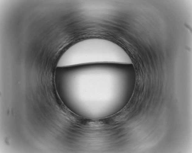 X0000096410556200801241028