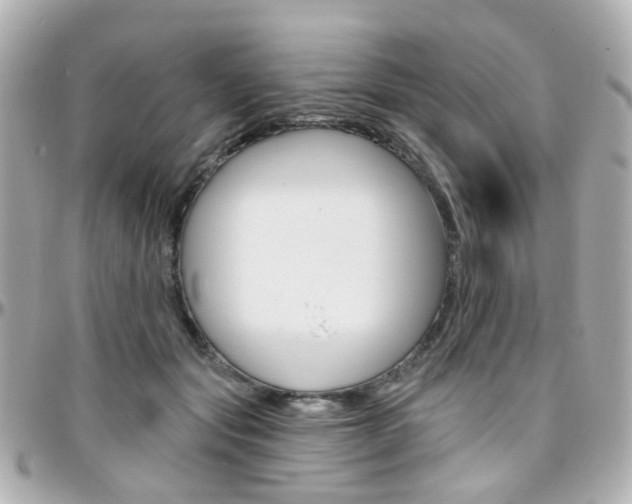 X0000096410557200801241028