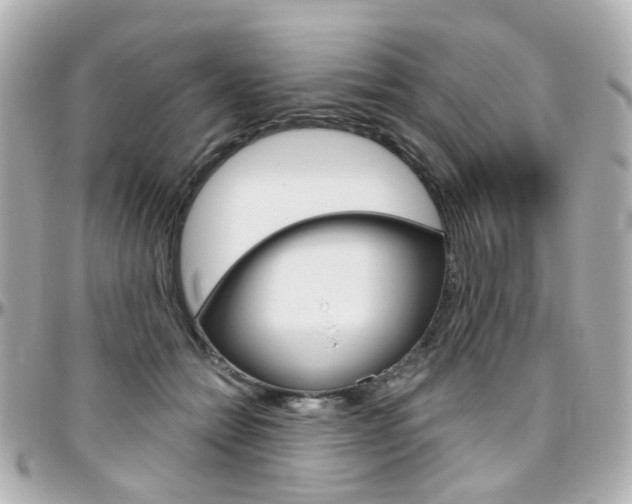 X0000096410558200801241028