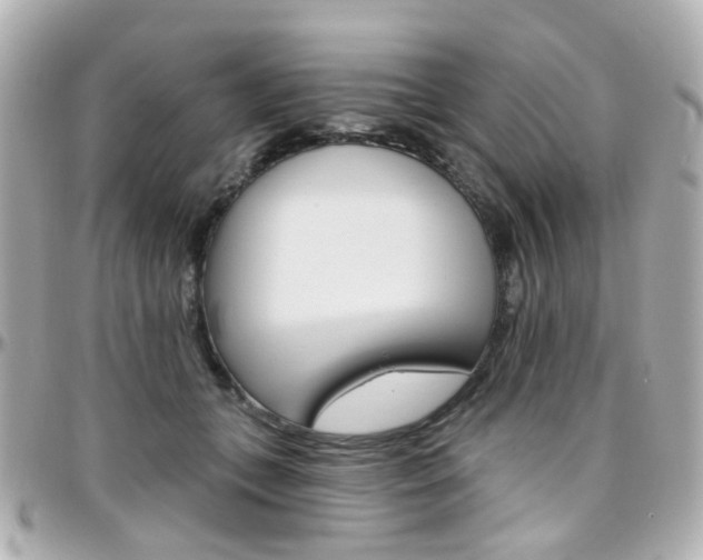 X0000096410559200801241028