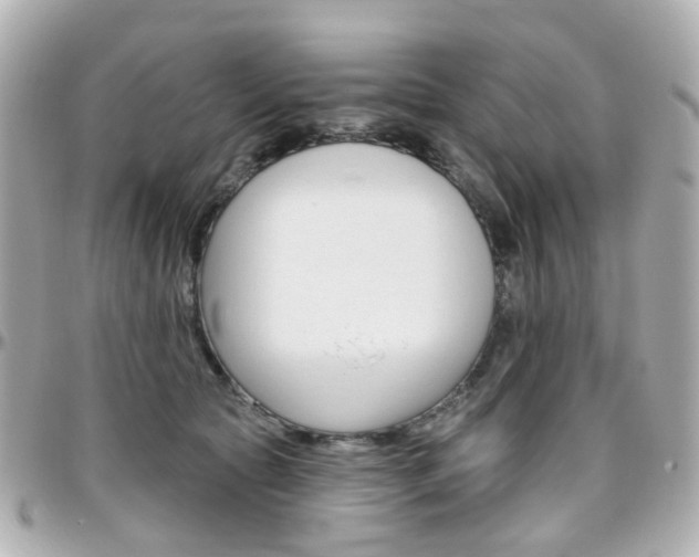 X0000096410561200801241028