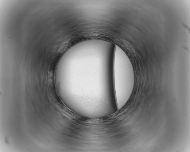 X0000096410563200801241028