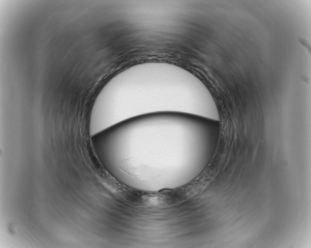 X0000096410564200801241028