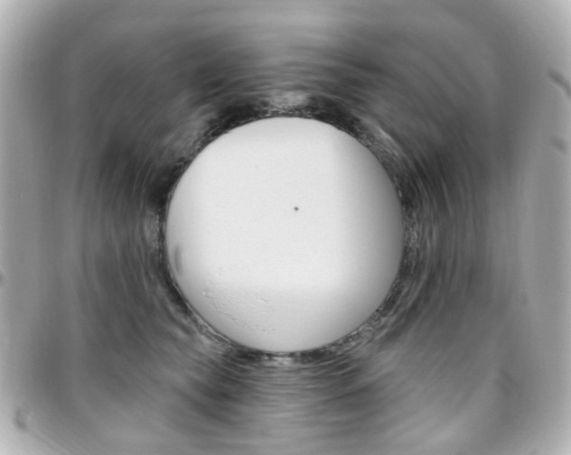 X0000096410565200801241028