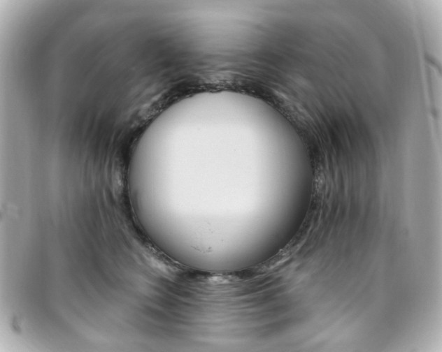 X0000096410566200801241028
