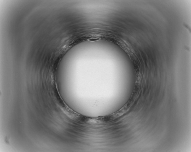 X0000096410568200801241028